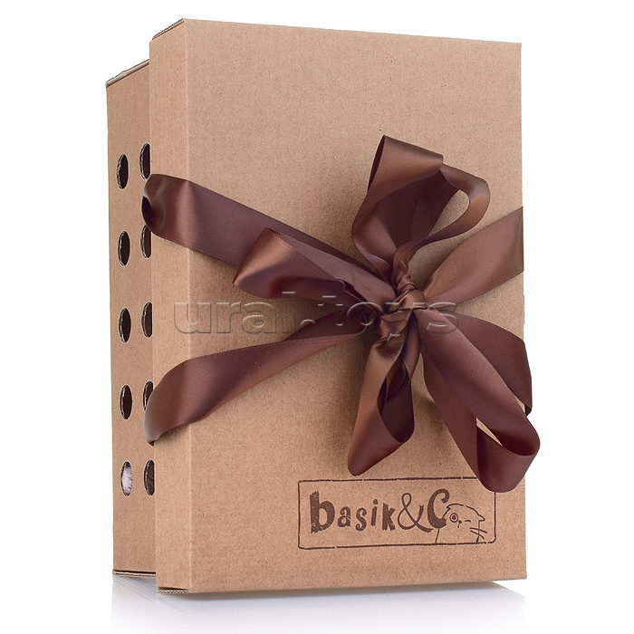 Кот Басик в кигуруми "Медвежонок"