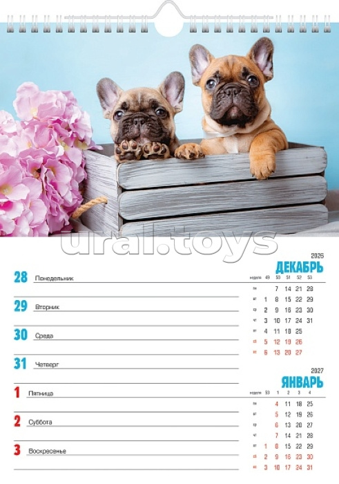 56Кнп4гр_21054 Календарь -Еженедельник настенный перекидной 56л 24х32см  на 2027г бум. Мелованная на гребне с ригелем-Наши любимцы- в инд.упак.с европодвесом