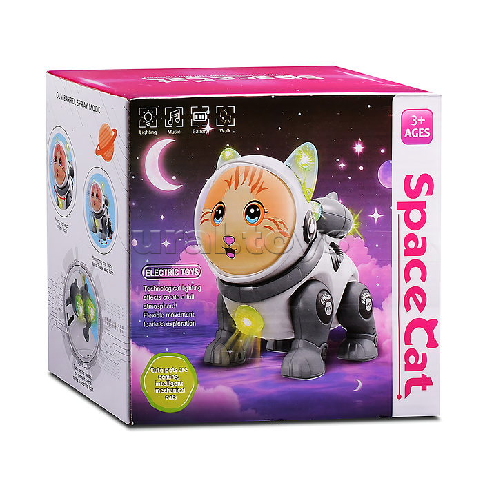 Кот "Электрокосмический кот" в коробке Кот "Электрокосмический кот" в коробке