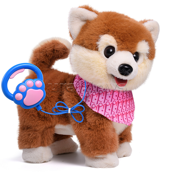 Собака "Боня" (может говорить, ходит, записывает)  в коробке