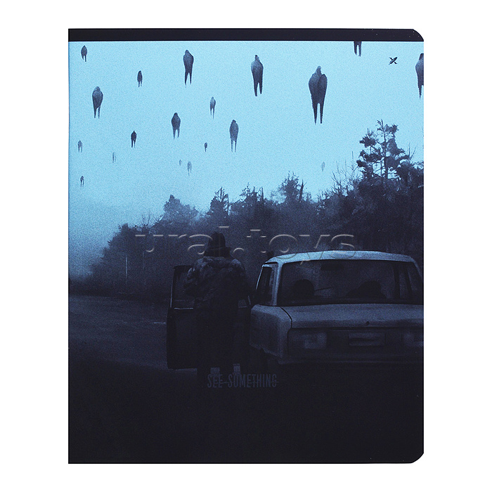 Тетрадь 48л. клетка. скреп. офс. "See something" мел. карт. двойная обложка запечатка форзаца, soft touch