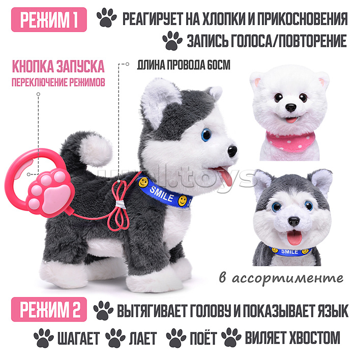 Собака "Джек" (записывает, поёт, двигается) в пакете Собака "Джек" (записывает, поёт, двигается) в пакете