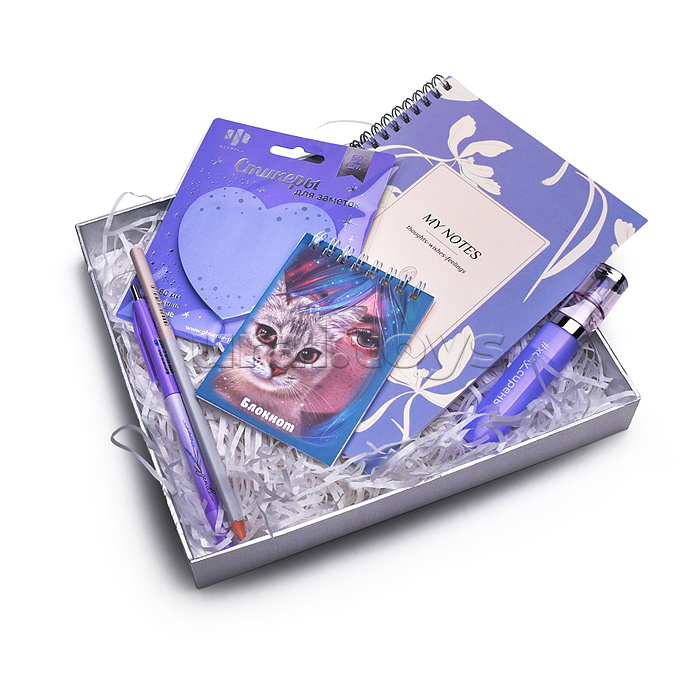 Набор женский №13