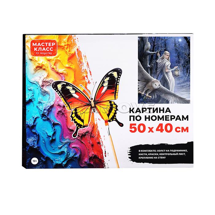Набор для рисования "Картина по номерам 50х40 см. Полуночный вестник"