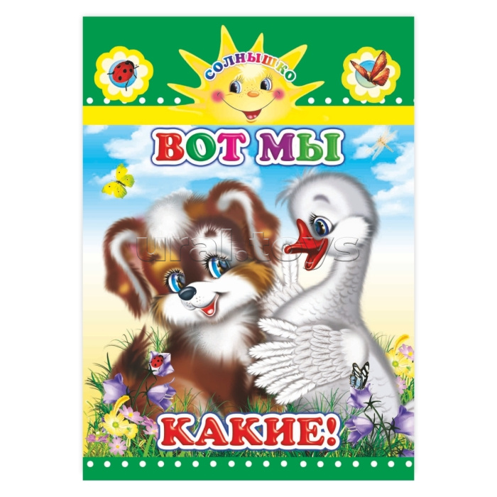 Книга картон. Вот мы какие! (Алфея)