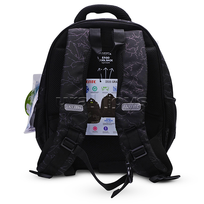 Рюкзак "Grade. T-Rex" школьный жесткий 37x28x16 см (16 л) вес 700 г, плотный износостойкий полиэстер с водоотталкивающей пропиткой, 2 просторных отделения на молнии (одно отделение с разделителями для учебников, другое отделение с органайзером и карманом 