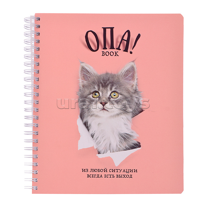 Тетрадь 96л. клетка/линия, А5 "Перевертыш Опа!" гребень