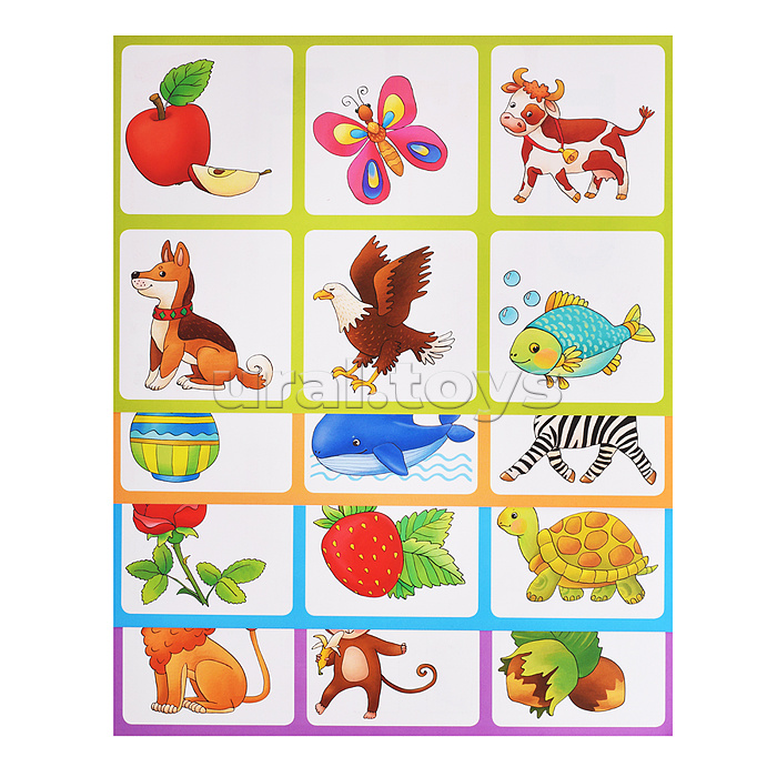 Пластиковое лото для малышей (нов) 5+ Английская азбука. English. Подбираем буквы, учим слова