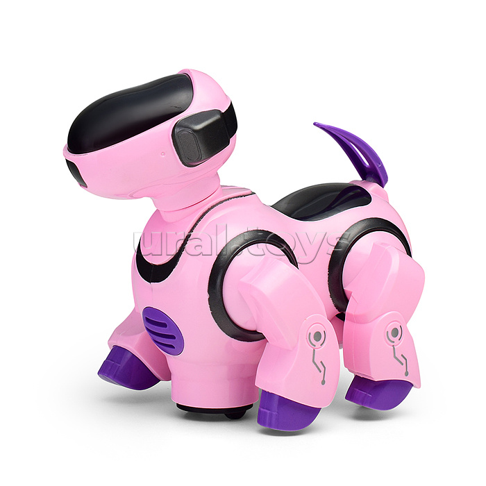 Собака "Зажигательный танец" в коробке