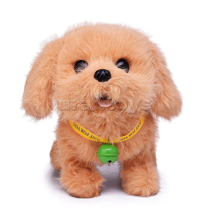 Собака "Ричи" (бегает, записывает, лает, виляет хвостом, открывает пасть) в пакете