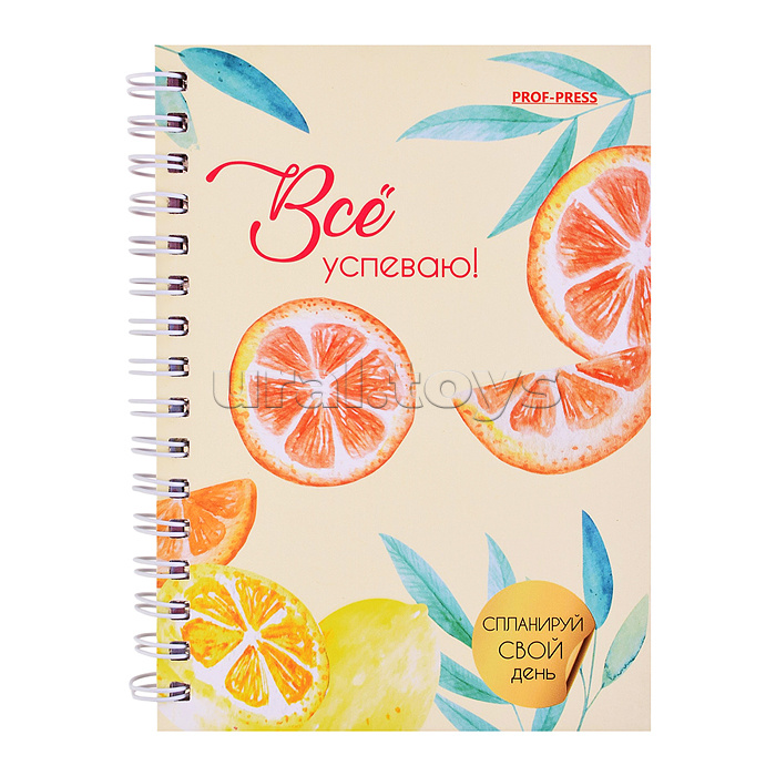 Ежедневник А6, 48л, "Фруктовый микс" 7БЦ, мат. лам, выб.лак, блок офсет 80г полноцв., 105х144