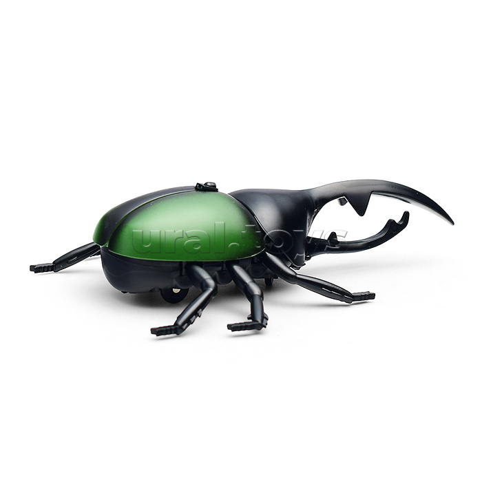 Жук в коробке