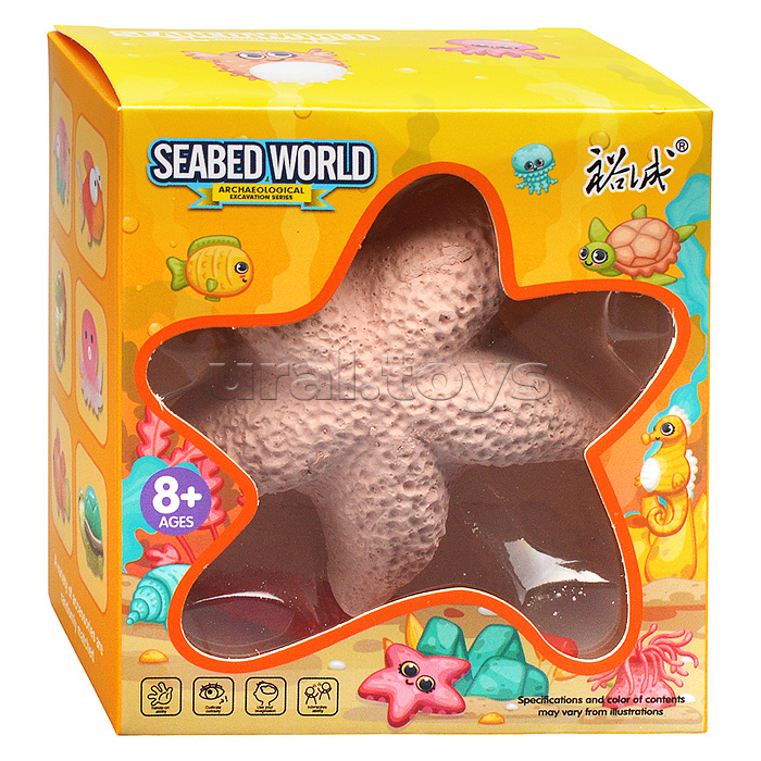 Раскопки "Морская звезда" в коробке