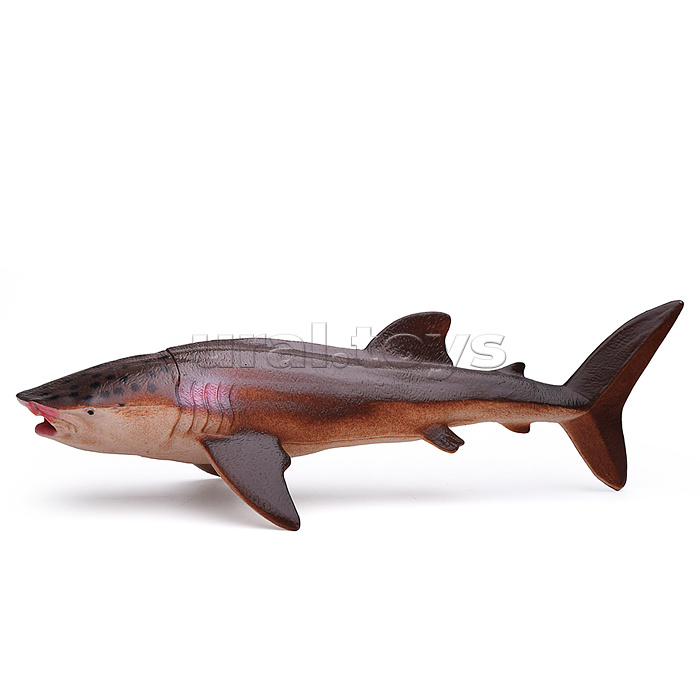 Животное "Морские жители" в коробке