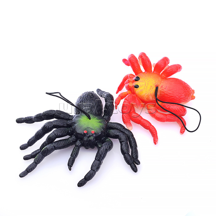 Паук, в пакете