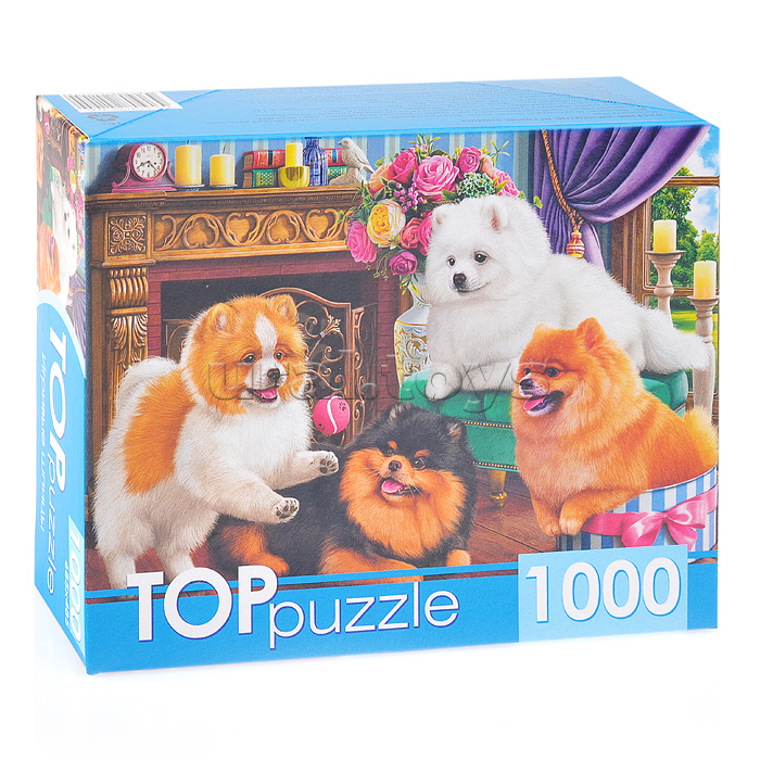 Пазлы 1000 TOPpuzzle "Игривые шпицы"