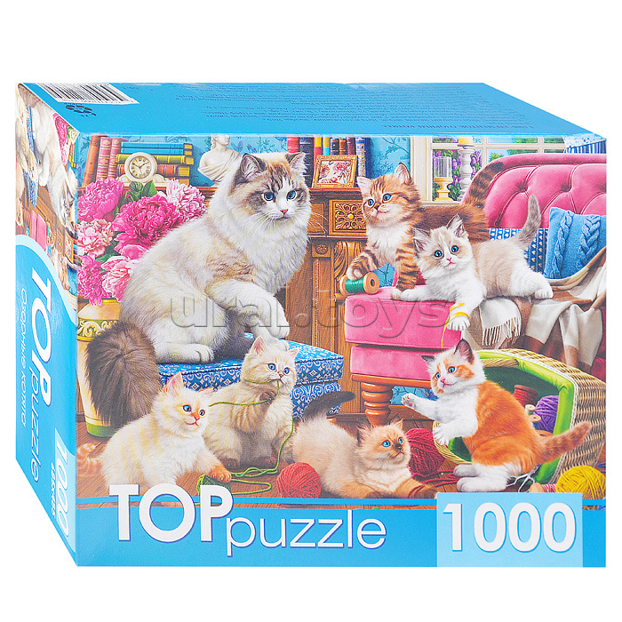 Пазлы 1000 TOPpuzzle "Озорные котята"