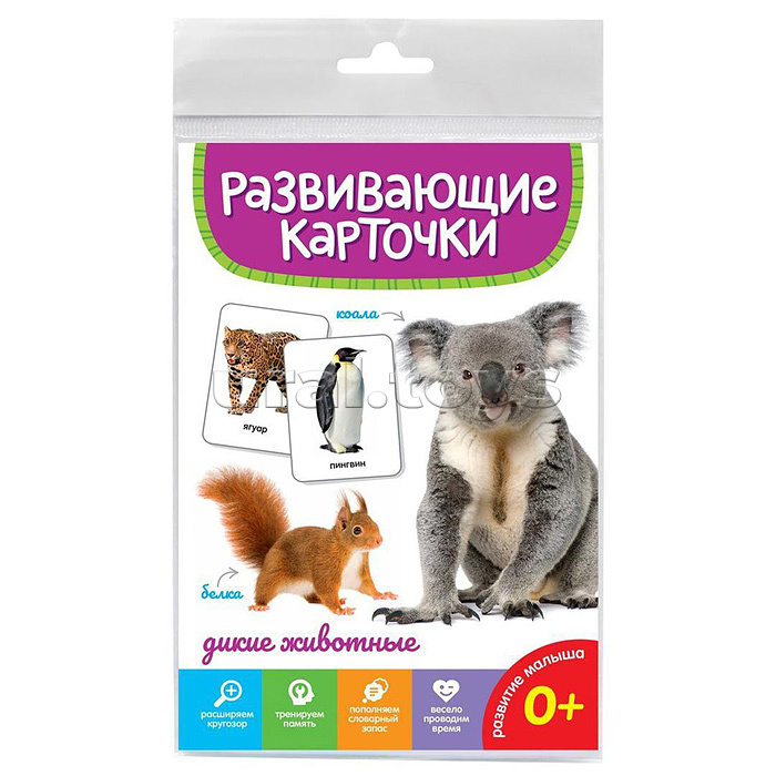 Развивающие карточки. Дикие животные