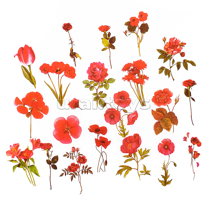 Набор наклеек для творчества "Red flowers" от 2x6 см до 5x6 см, ПВХ, в пластиковом пакете с блистерным подвесом, ассорти 20 дизайнов