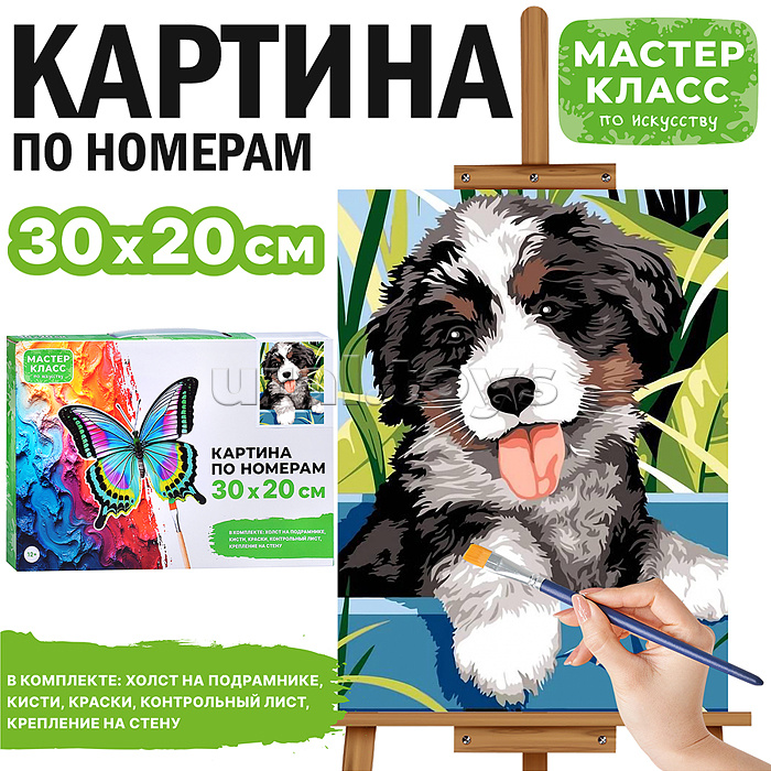 Набор для рисования "Картина по номерам 30х20 см. Щенок"