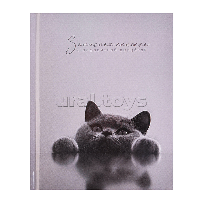 Записная книжка с алфавитной вырубкой 80л. "Британский кот" 120x150 мм, твёрдый переплёт 7БЦ