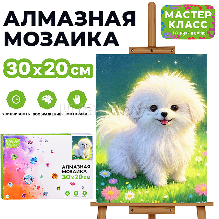 
Мозаика алмазная "Малыш" 20*30см.
