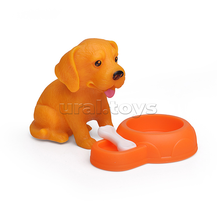 Набор питомец "Чудо природы" в коробке