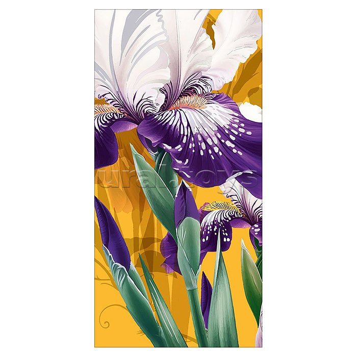 Конверт для денег без надписи