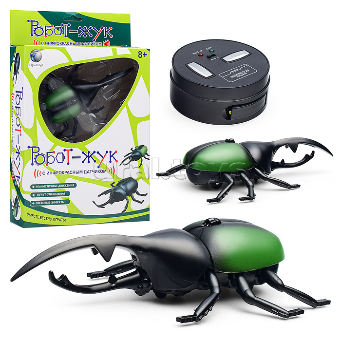 Жук в коробке