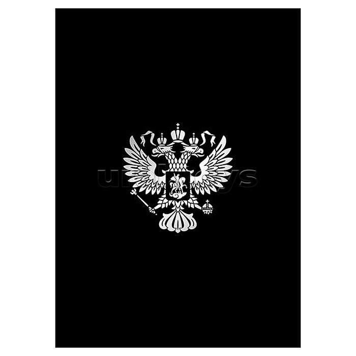 Тетрадь 80л. клетка А4 скрепка S "Россия" Премиум 4+0+СофтТач+Горячее тиснение фольгой