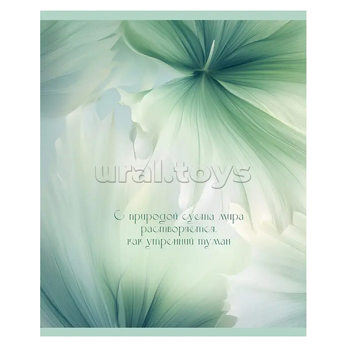 Тетрадь 48л. клетка серая "Шепот листьев" А5 скрепка