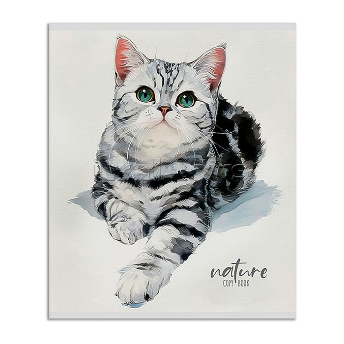 Тетрадь 48л. линия "Красивые коты - 1" цвет. мелов. обл.