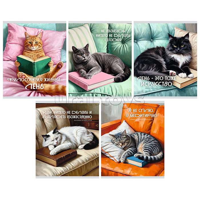 Тетрадь 48л. клетка серая "Кот и лень" А5 скрепка