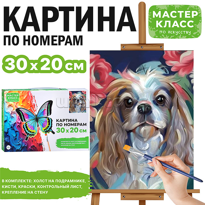 Картина по номерам "Кинг чарльз спаниель" 30*20 см.