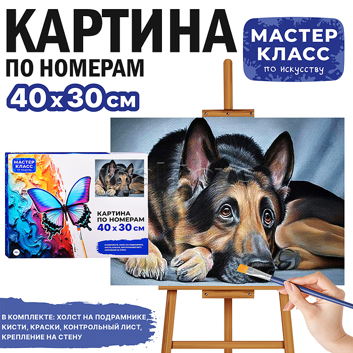 Набор для рисования "Картина по номерам 30х40 см. Овчарка"