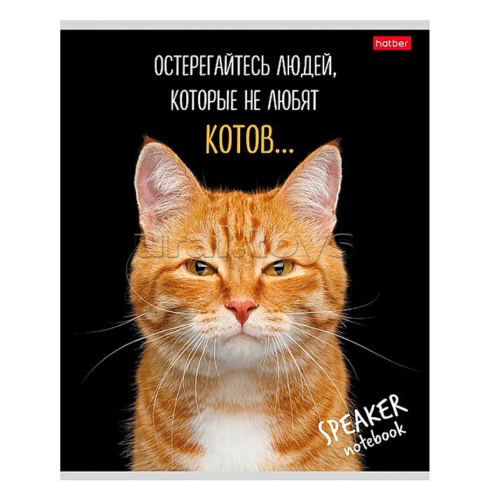 Тетрадь 40л. клетка "Кот говорит!" А5 на скобе