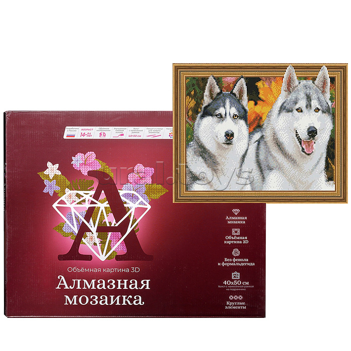 Алмазная мозаика 3D с нанесенной рамкой 40х50 "Хаски" (31 цвет)