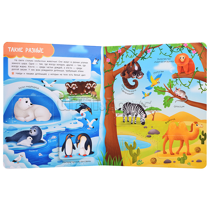 Книги с окошками. Мамы и малыши