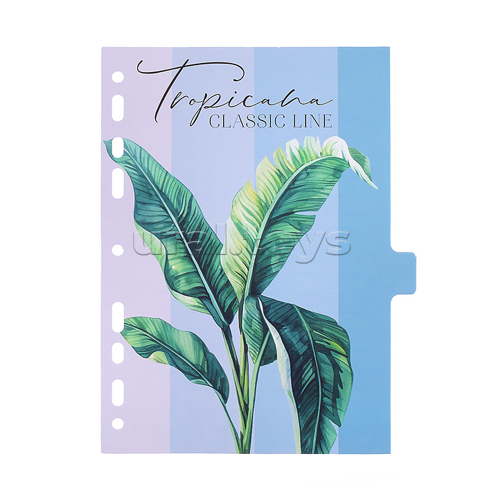 Разделитель листов "Tropicana" A5 (160x210 мм) ламинированный мелованный картон 210 г/м2, с рисунком, 8 шт, индивидуальная упаковка