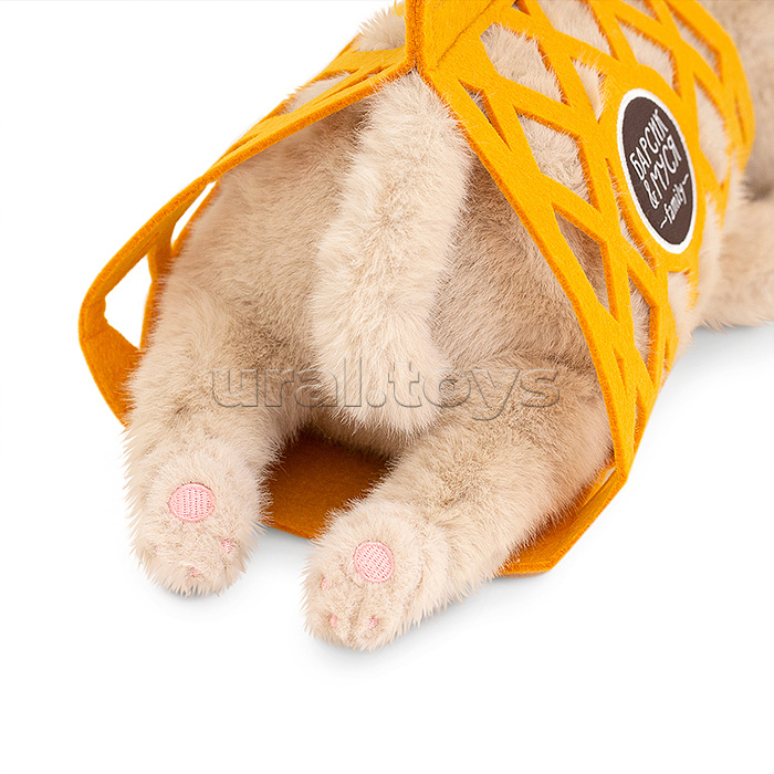 Кот Барсик в сумке бежевый 56