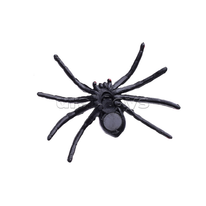 Игра-розыгрыш "Пауки"