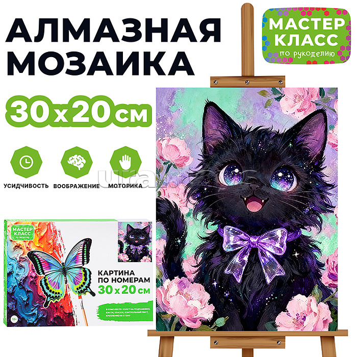 Картина по номерам MKR3020-146 "Котик с бантиком" 30х20 см.