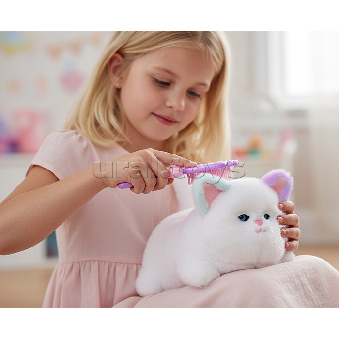 Кошка "Мяу" в коробке