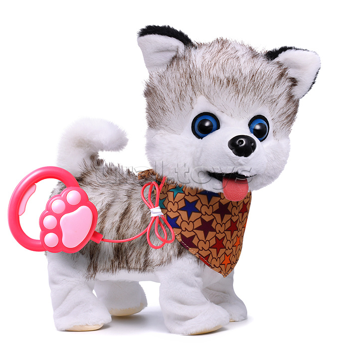 Собака "Боня" (может говорить, ходит, записывает)  в коробке