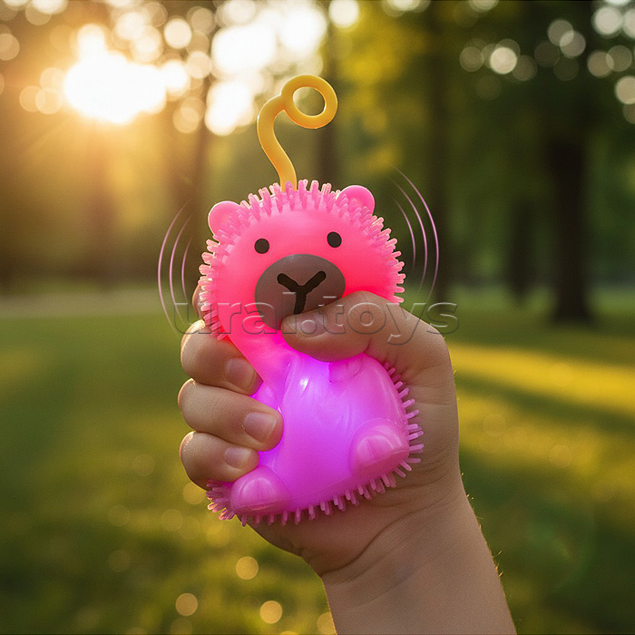 Игрушка-пищалка "Капибара" в коробке