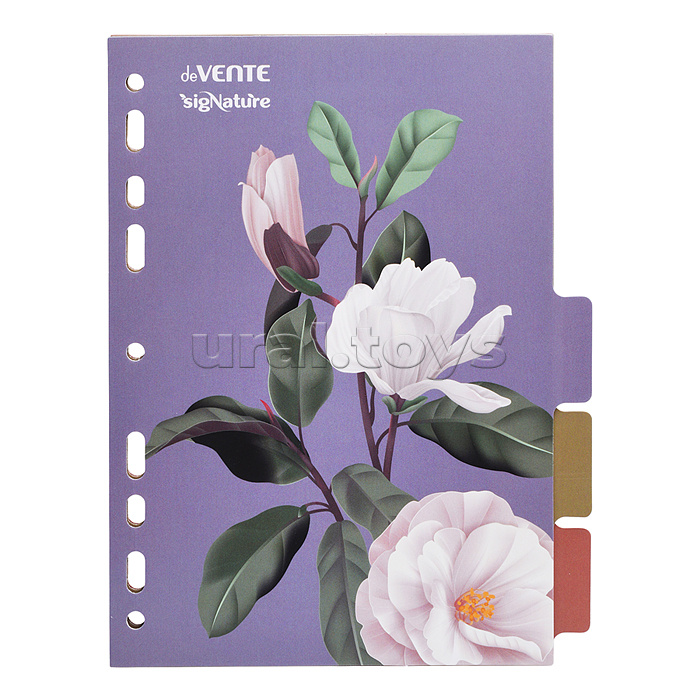Разделитель листов "SigNature" A5 (160x210 мм) ламинированный мелованный картон 210 г/м2, с рисунком, 5 шт, индивидуальная упаковка