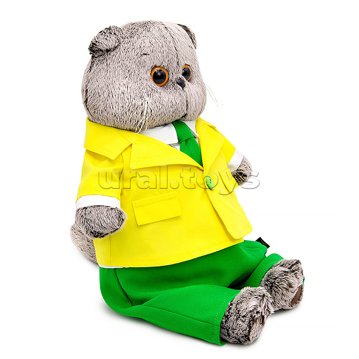 Кот Басик в ярком костюме