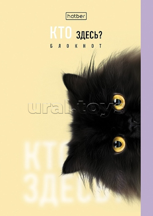 Блокнот 32л А6ф клетка "Кто здесь?" на скобе, обложка мел. бумага глянц. ламинация