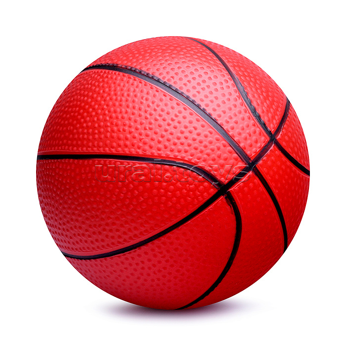 Набор для баскетбола "Dinosaur" в сетке