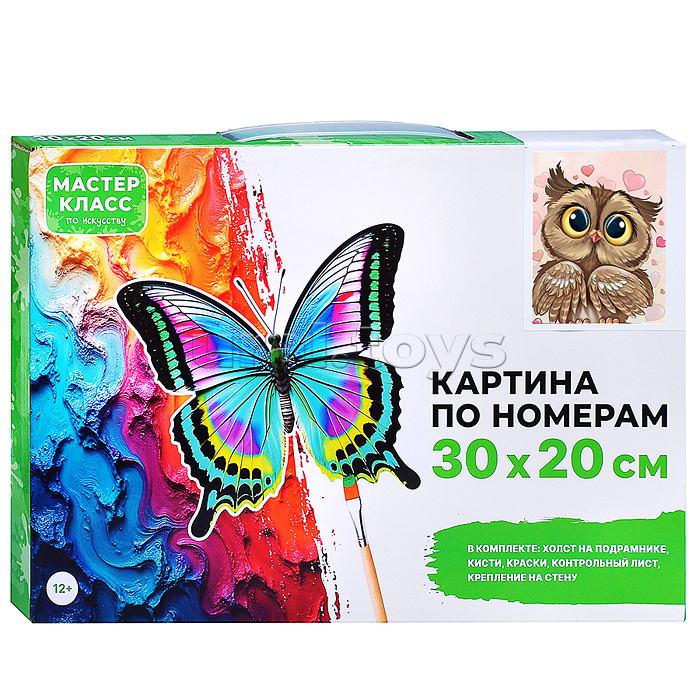 Набор для рисования "Картина по номерам 30х20 см. Влюблённая сова"